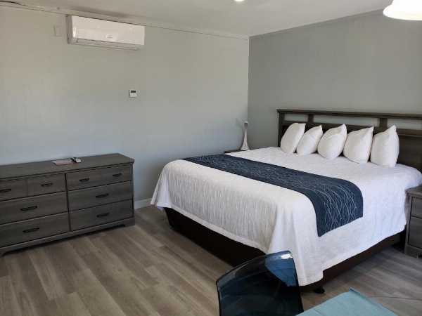 The Palms On Ocean image 14