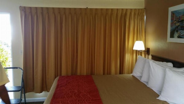 The Palms On Ocean Main image